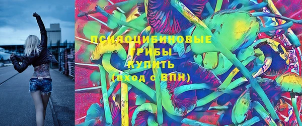 дмт Алексеевка
