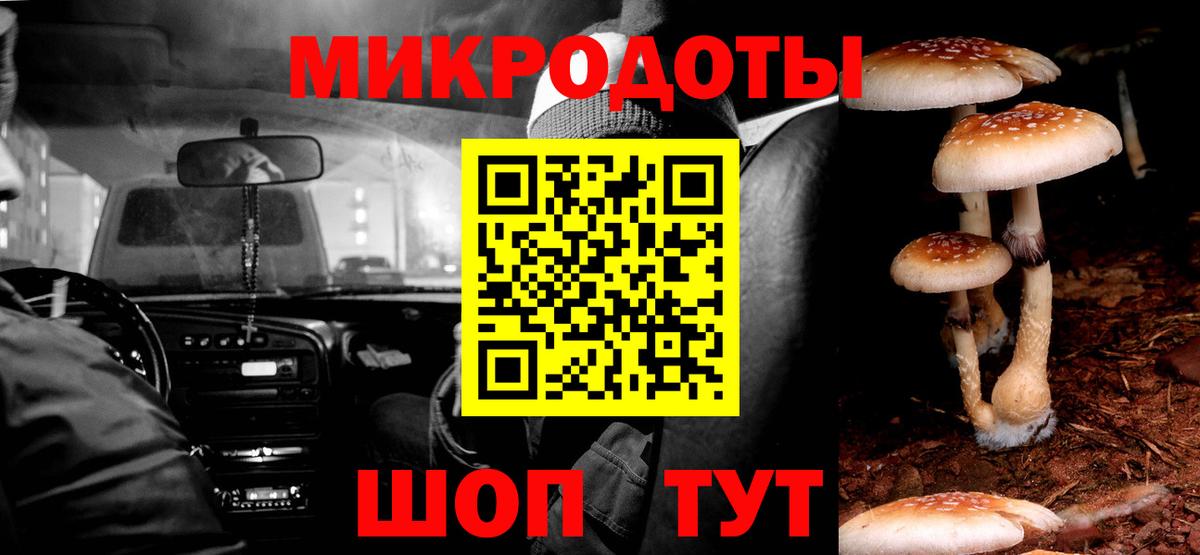 Ухта  Галлюциногенные грибы Psilocybine cubensis  Вход с VPN 